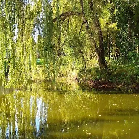 Half Of A Home, Huge Garden, Pond