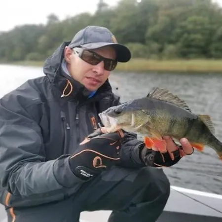 Half Of A Home, Huge Garden, Pond Semesterbostad Szymbark (Pomerania)