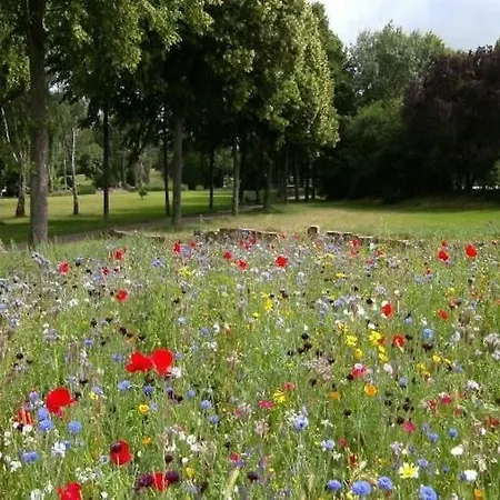 Half Of A Home, Huge Garden, Pond Ferienhaus Szymbark (Pomerania)