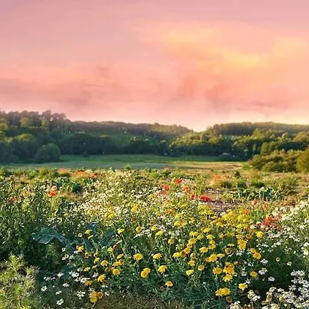 Half Of A Home, Huge Garden, Pond *