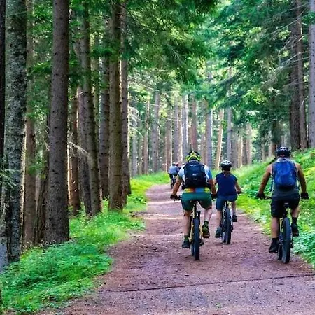 Half Of A Home, Huge Garden, Pond Semesterbostad Szymbark (Pomerania)