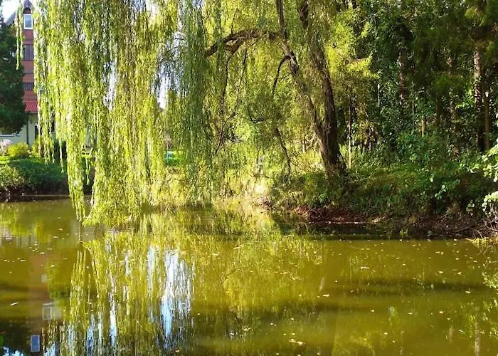 Half Of A Home, Huge Garden, Pond
