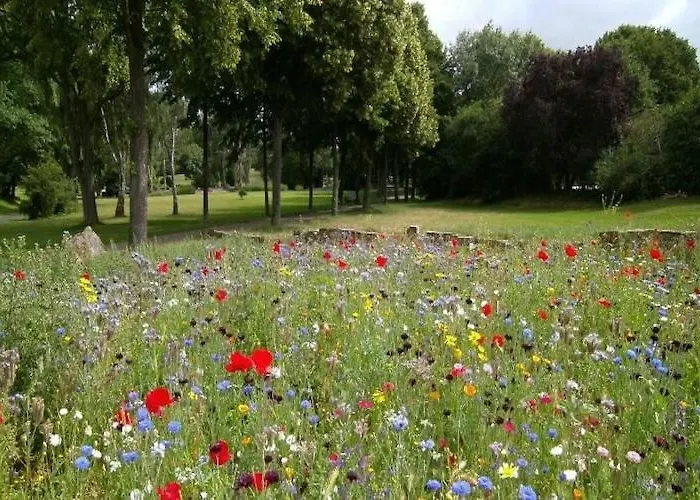 Half Of A Home, Huge Garden, Pond 度假居 兹姆巴克