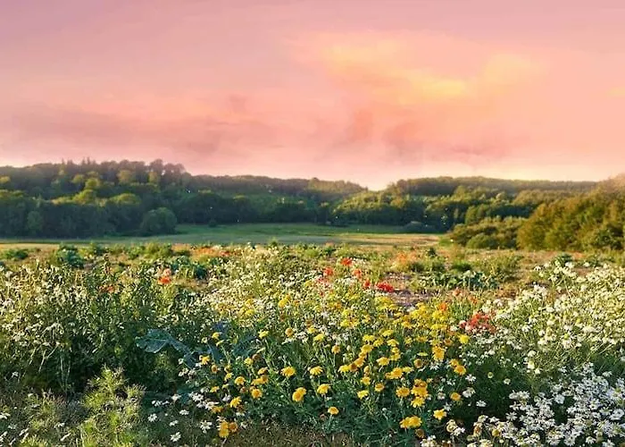 Half Of A Home, Huge Garden, Pond *