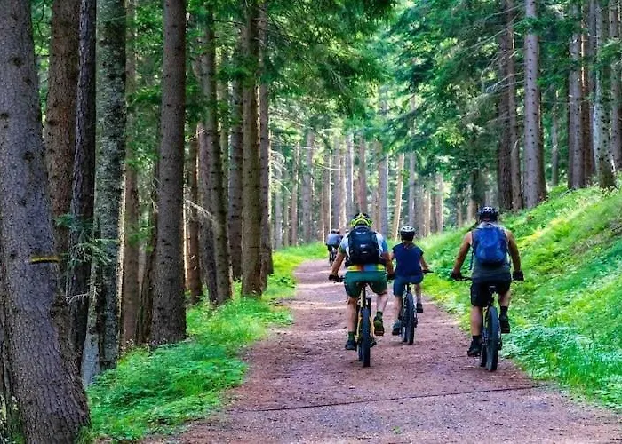 Half Of A Home, Huge Garden, Pond 度假居 兹姆巴克